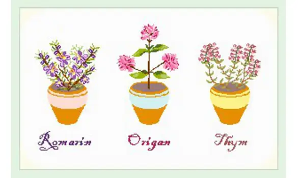 POTS THYMORIGANROMARIN