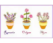 POTS THYMORIGANROMARIN